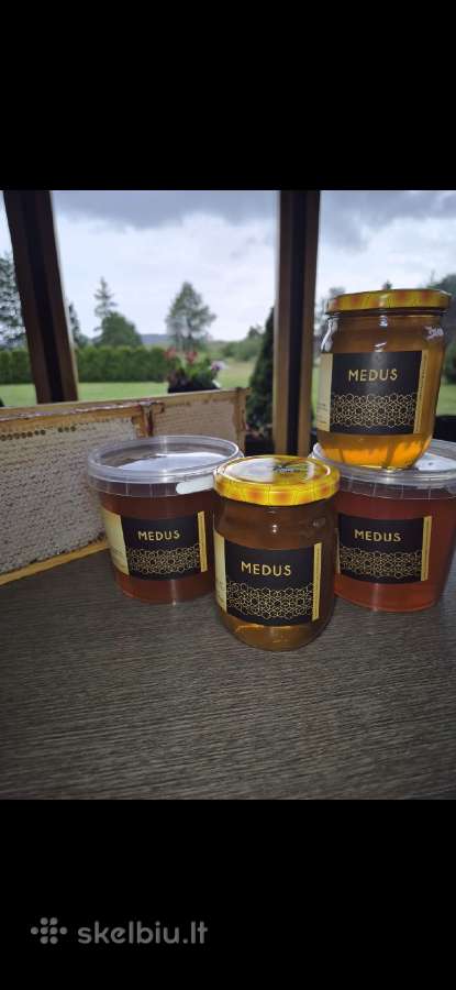 Pikis, duonelė, medus, bičių šeimos - nuotraukos Nr. 3