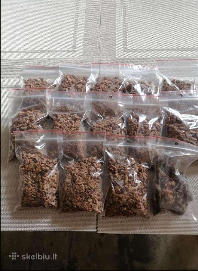 Pikis, duonelė, medus, bičių šeimos - nuotraukos Nr. 5
