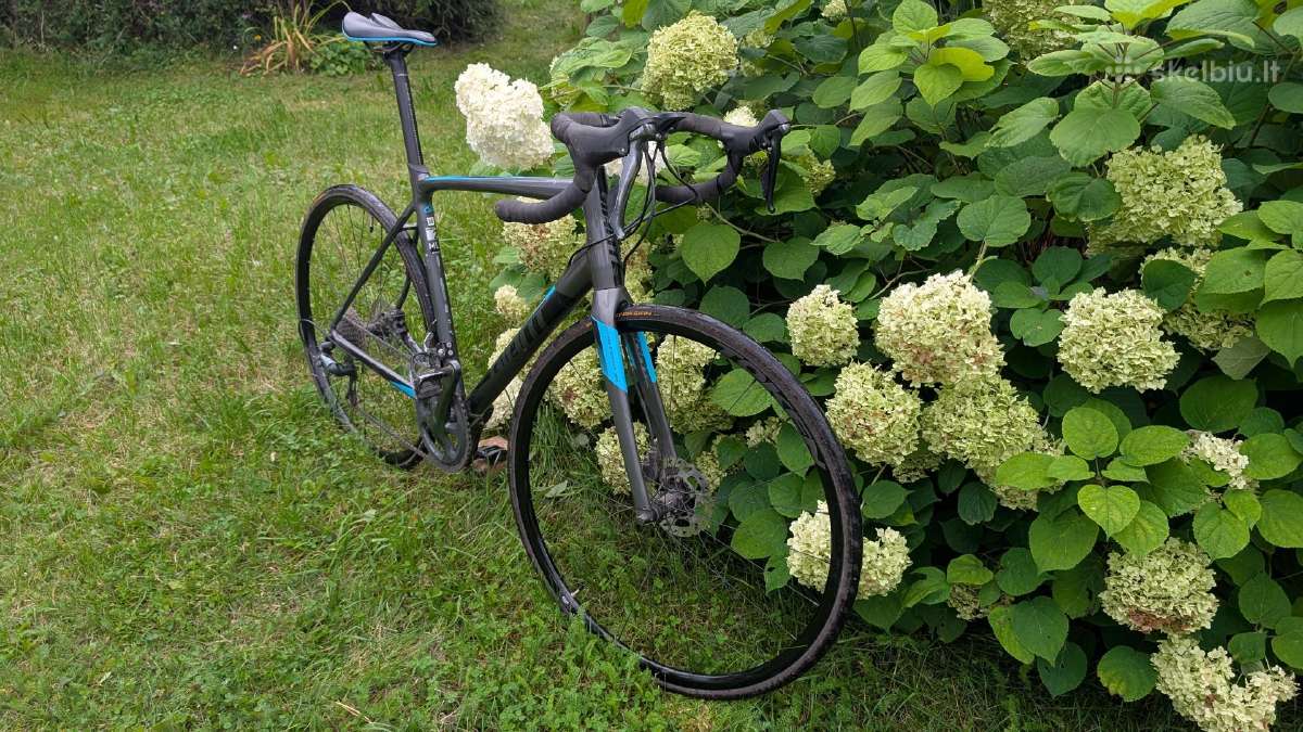 Giant Contend 2 SL disc 2019 - nuotraukos Nr. 2