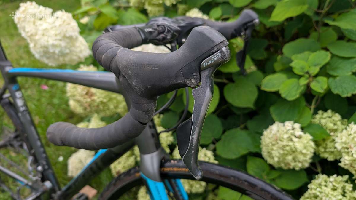 Giant Contend 2 SL disc 2019 - nuotraukos Nr. 3