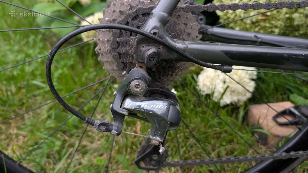 Giant Contend 2 SL disc 2019 - nuotraukos Nr. 6