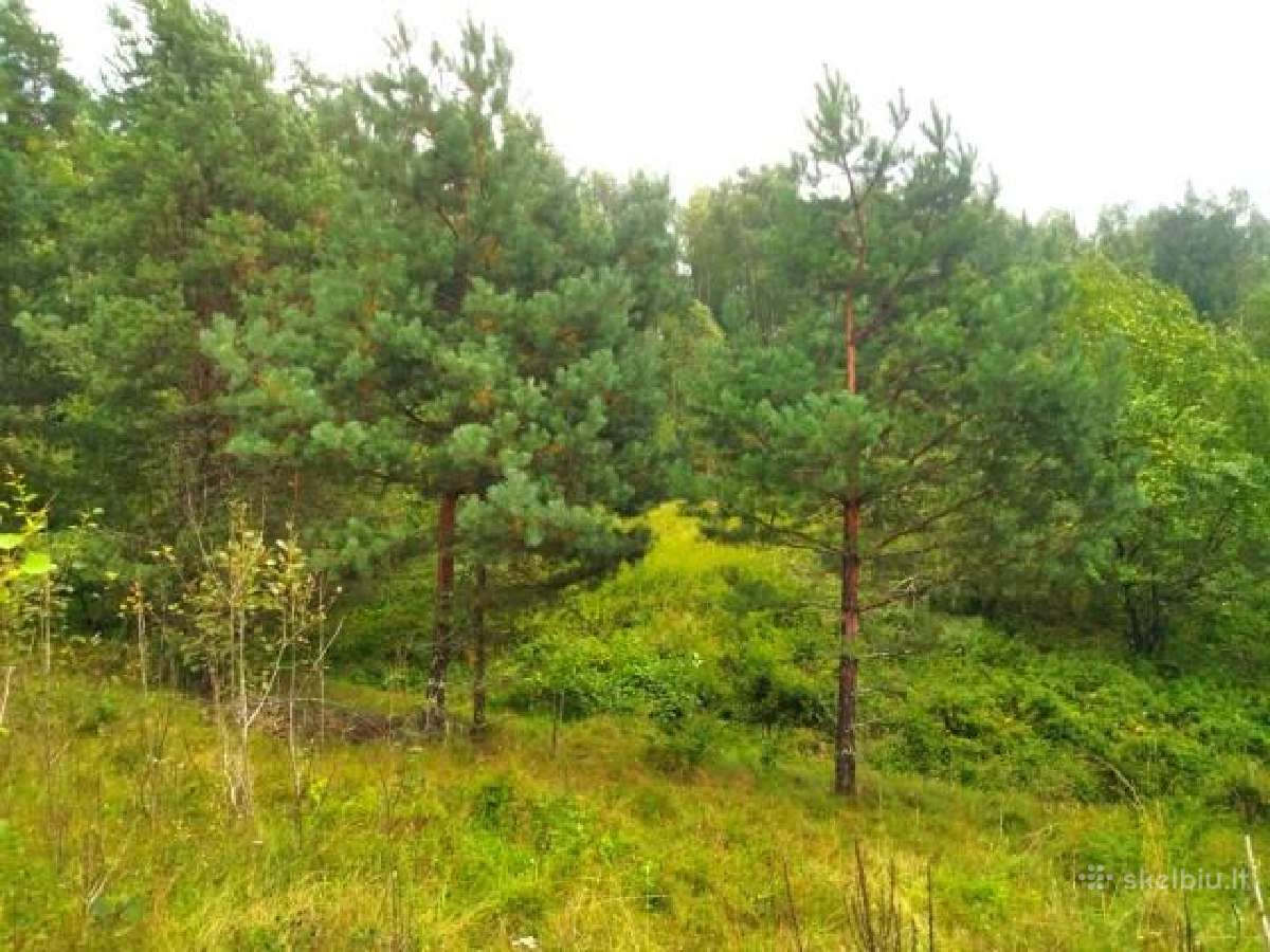 1,7972 ha sklypas Matakienių k., Švenčionių r. - nuotraukos Nr. 3