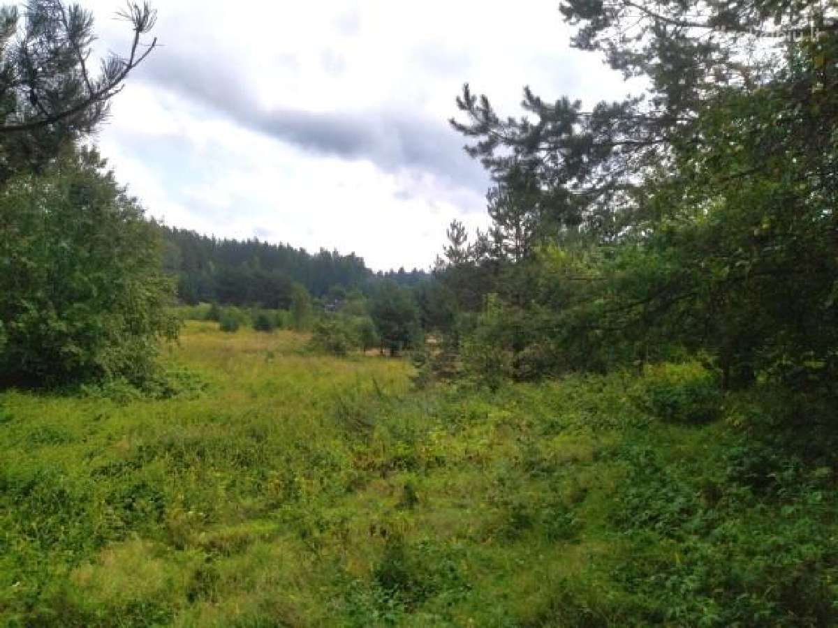 1,7972 ha sklypas Matakienių k., Švenčionių r. - nuotraukos Nr. 6