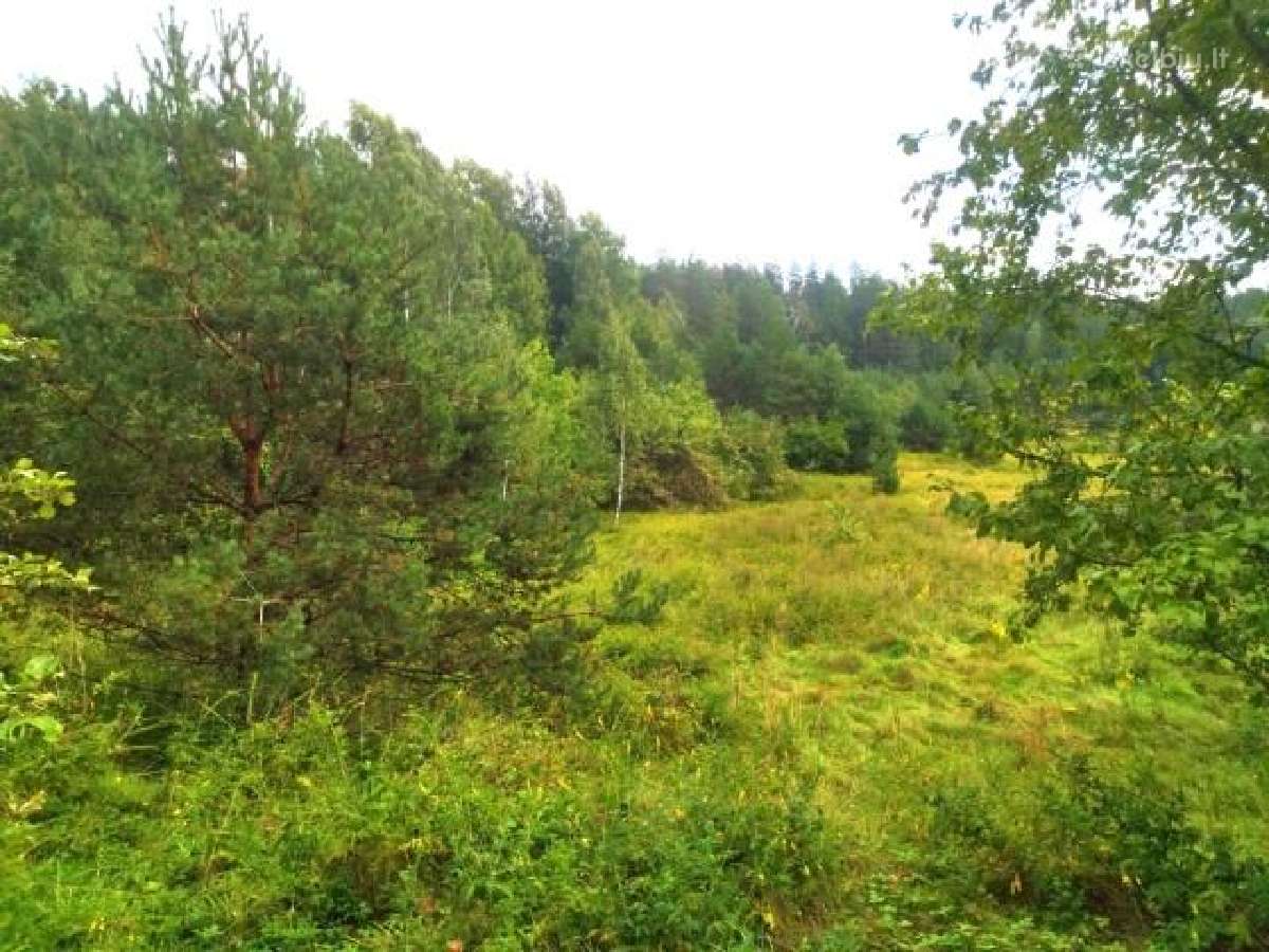 1,7972 ha sklypas Matakienių k., Švenčionių r. - nuotraukos Nr. 11