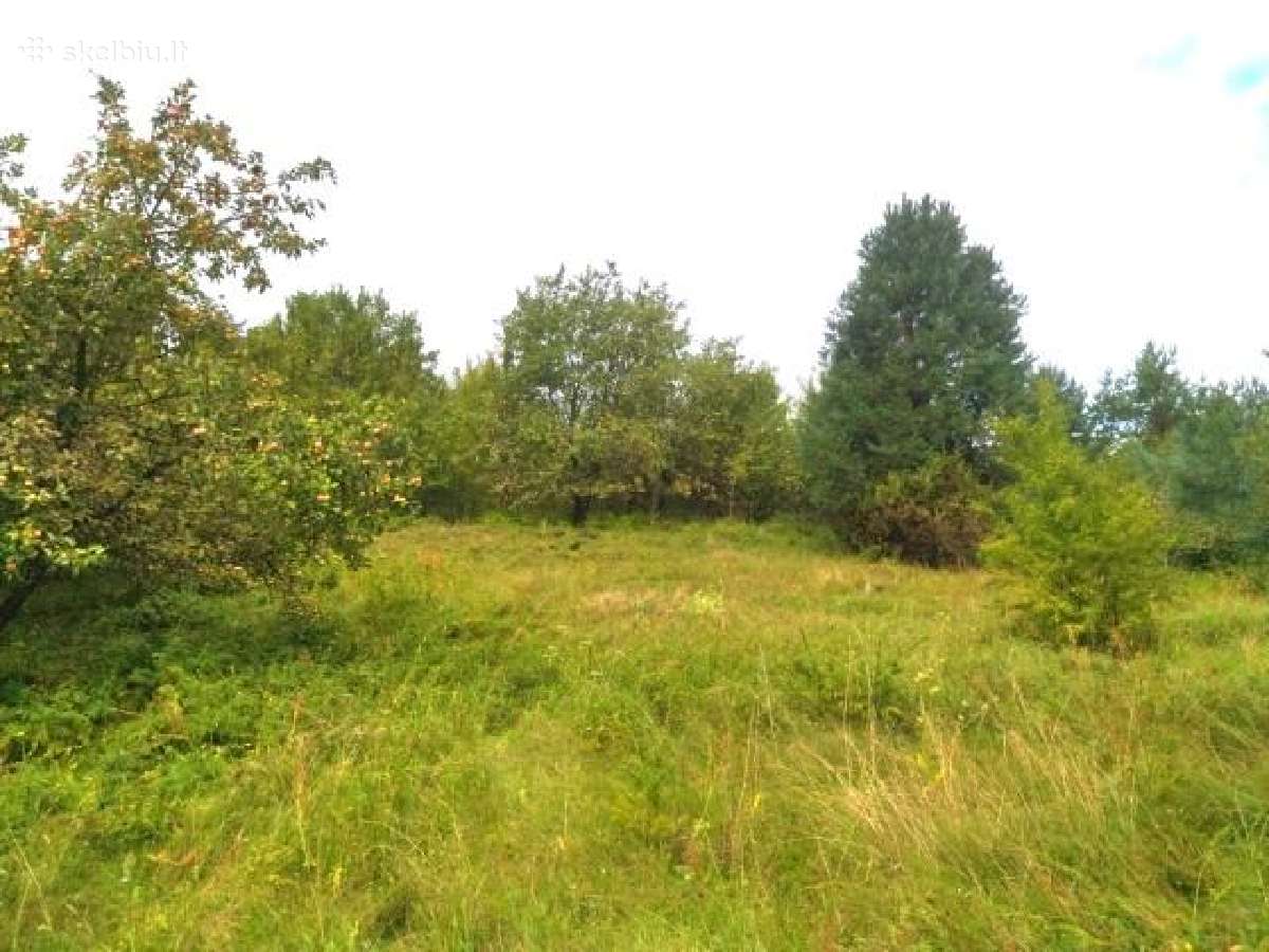 1,7972 ha sklypas Matakienių k., Švenčionių r. - nuotraukos Nr. 9