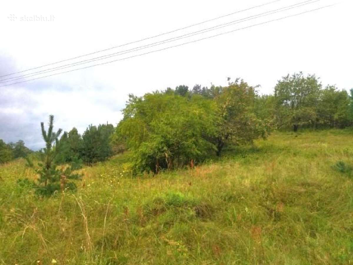 1,7972 ha sklypas Matakienių k., Švenčionių r. - nuotraukos Nr. 10