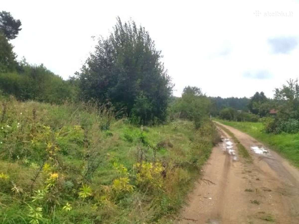 1,7972 ha sklypas Matakienių k., Švenčionių r. - nuotraukos Nr. 13