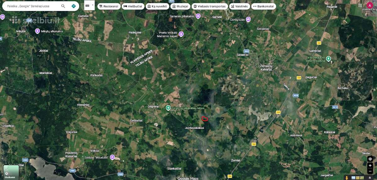 Parduodu mišką Plungės raj. šalia Gegrėnų kaimo - nuotraukos Nr. 2