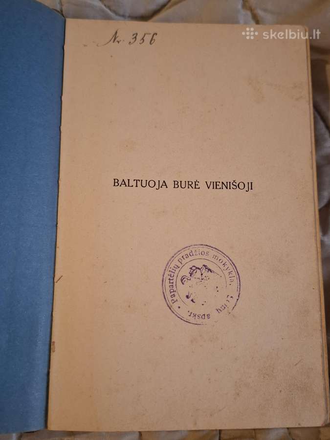 Klasika - nuotraukos Nr. 6