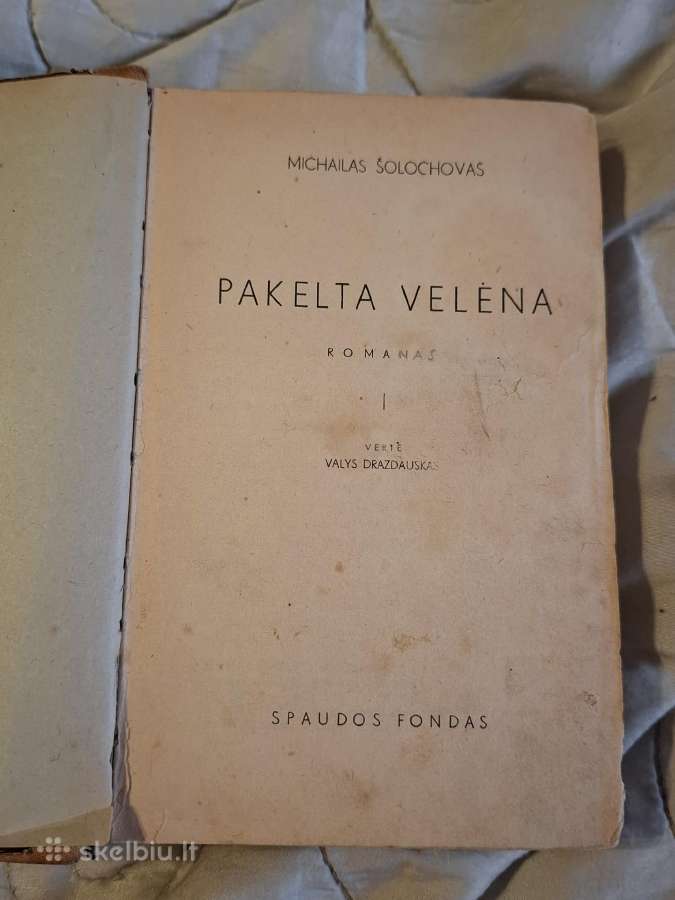 Klasika - nuotraukos Nr. 17