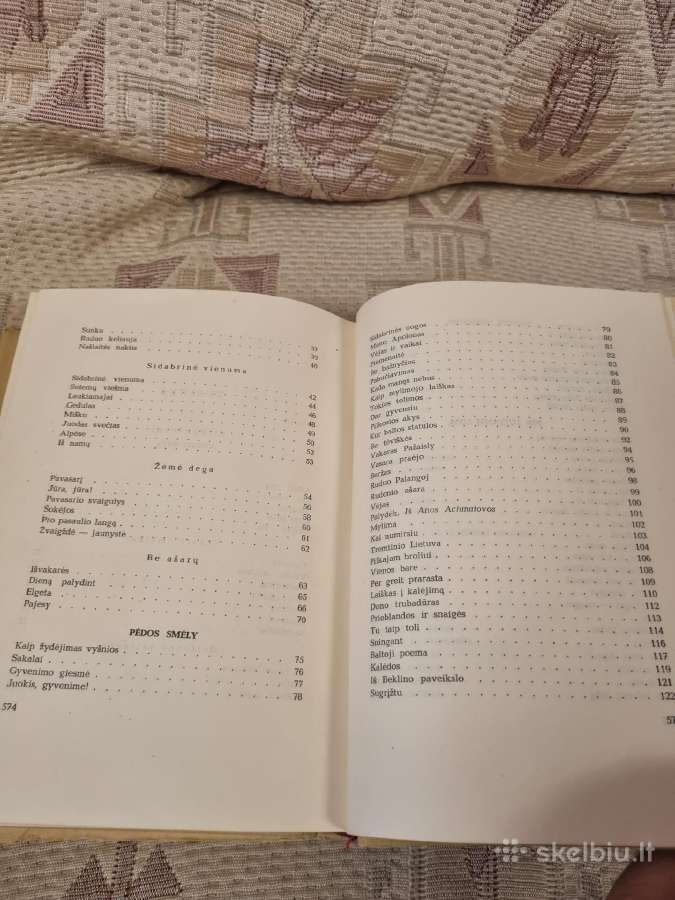 Salomėja Nėris raštai 3 knygos - nuotraukos Nr. 7