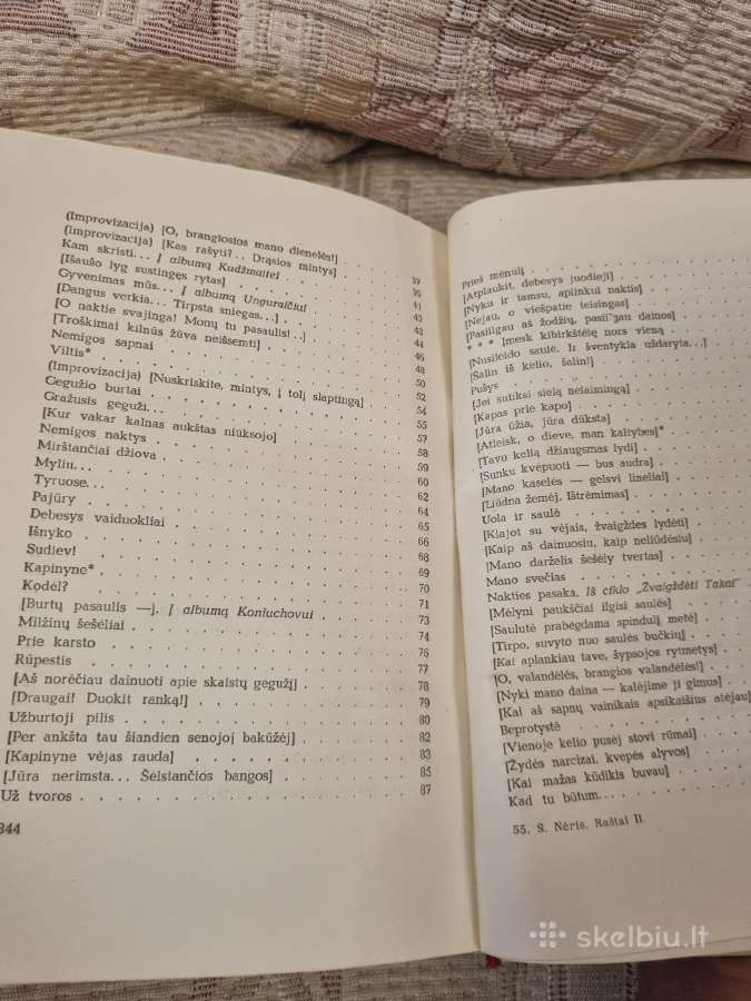 Salomėja Nėris raštai 3 knygos - nuotraukos Nr. 14