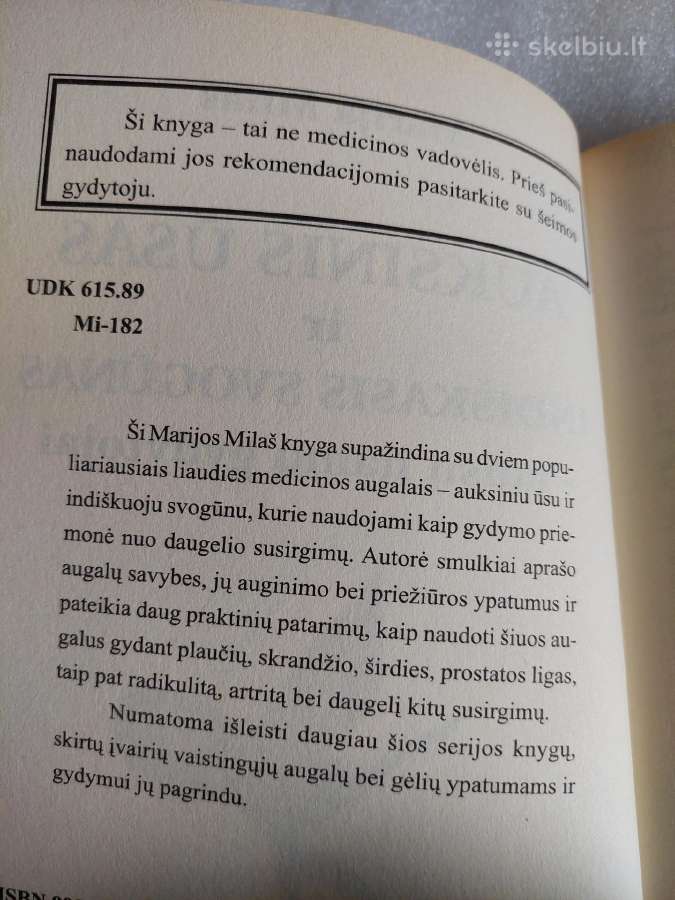 Auksinis ūsas ir indiškasis svogūnas - nuotraukos Nr. 3