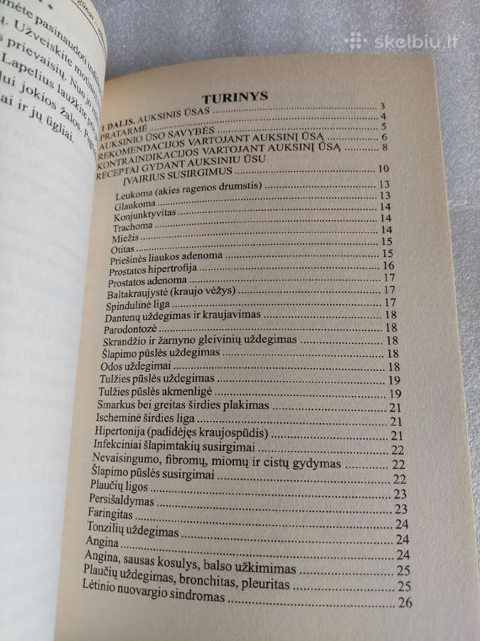 Auksinis ūsas ir indiškasis svogūnas - nuotraukos Nr. 4