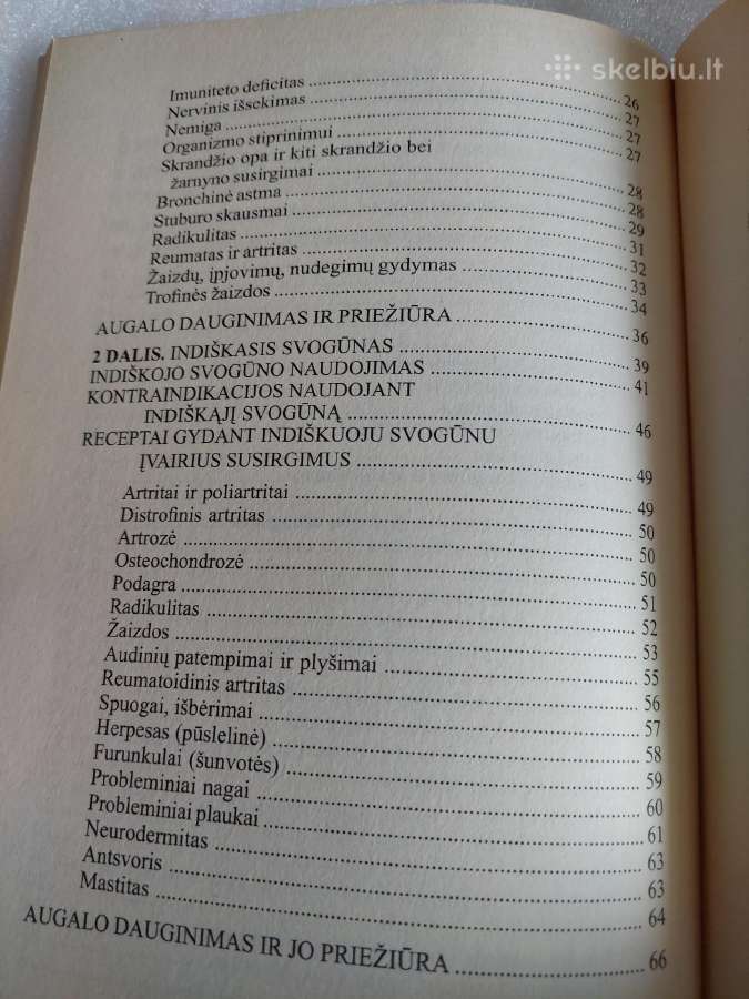 Auksinis ūsas ir indiškasis svogūnas - nuotraukos Nr. 5