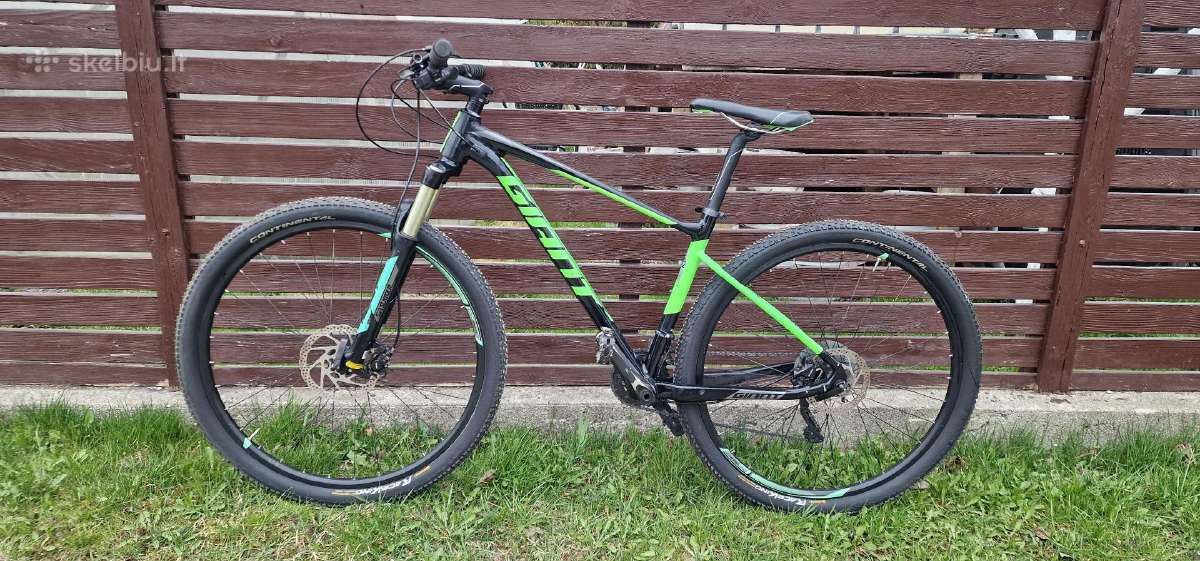 Giant Fathom er29 - nuotraukos Nr. 2
