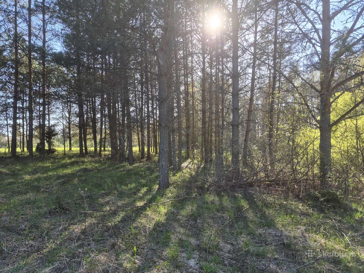 Žemės sklypai aukštaitijoje - nuotraukos Nr. 7
