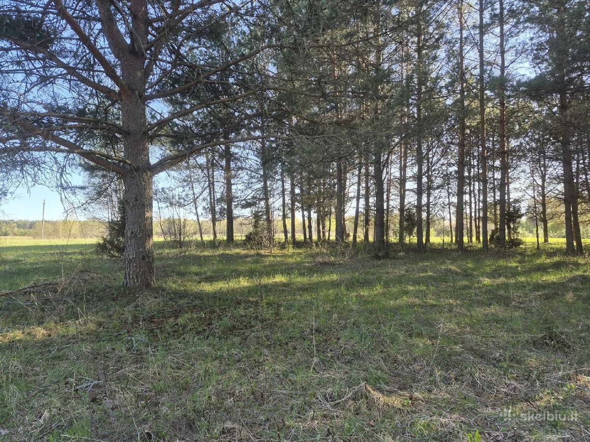 Žemės sklypai aukštaitijoje - nuotraukos Nr. 8
