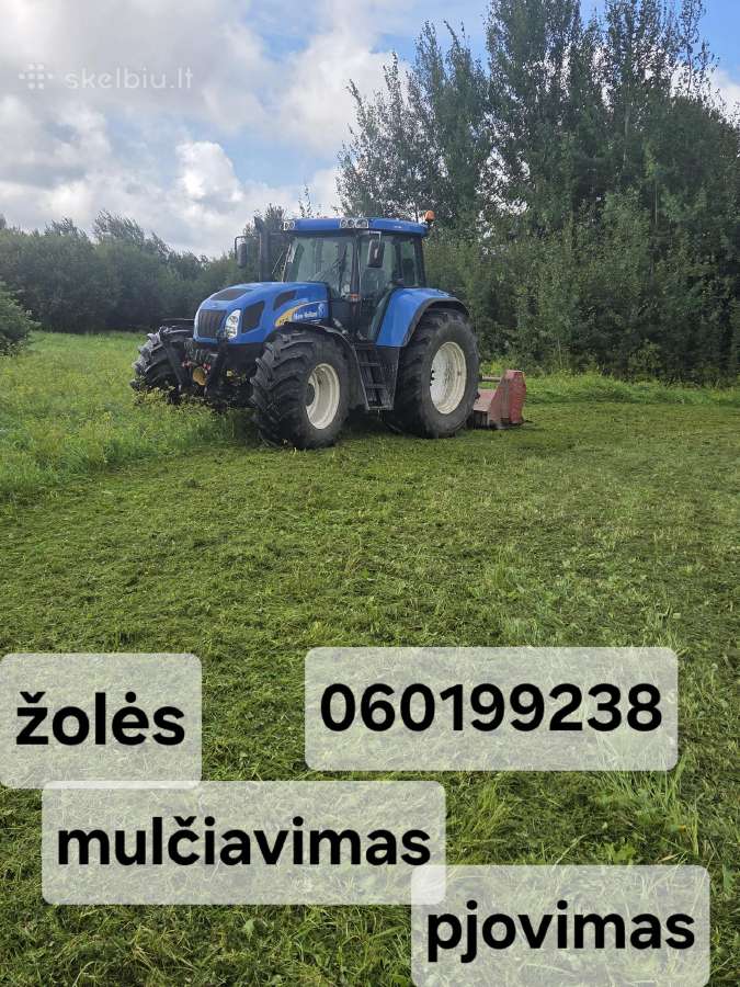Medžių genėjimas.žemės frezavimas. Klaipedos.r - nuotraukos Nr. 18