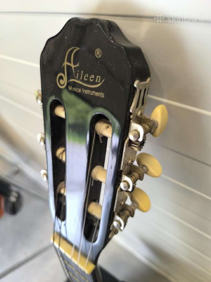 Klasikinė gitara - nuotraukos Nr. 5