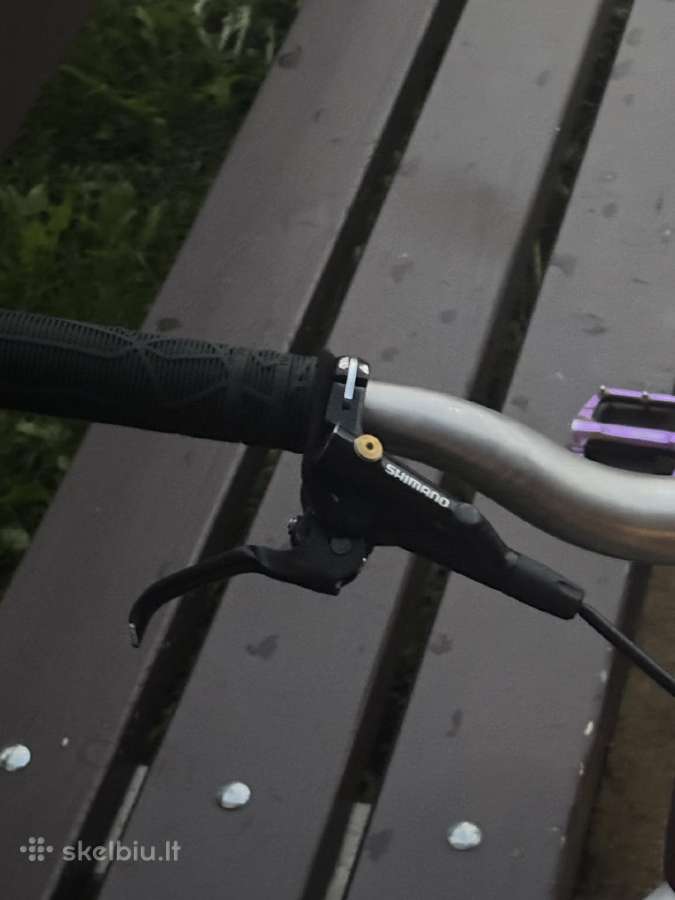 Dirt jumper/mainau - nuotraukos Nr. 3