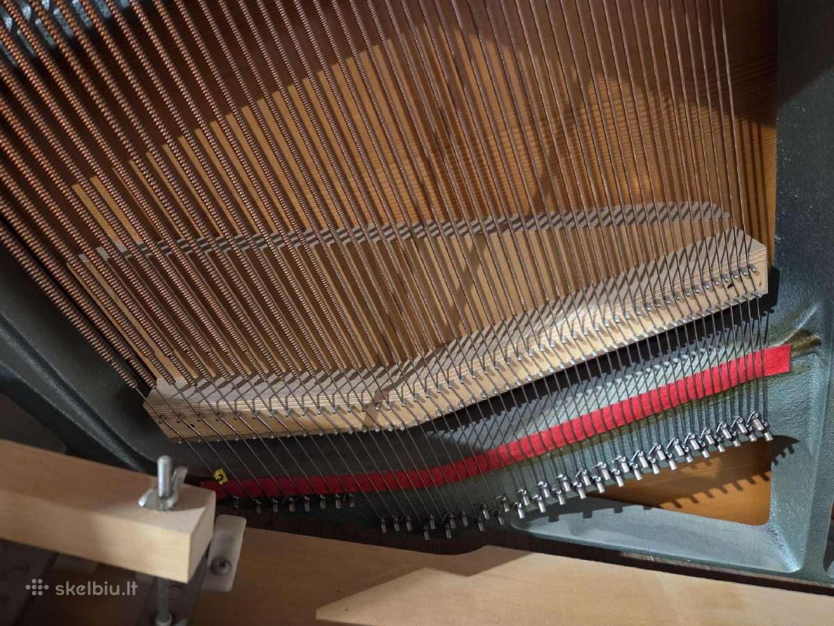 Pianinas Hellas - Saito japoniška mechanika. - nuotraukos Nr. 14