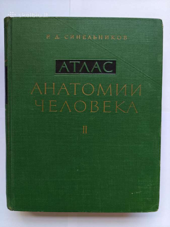 Sinelnikovo žmogaus anatomijos atlasas - nuotraukos Nr. 2