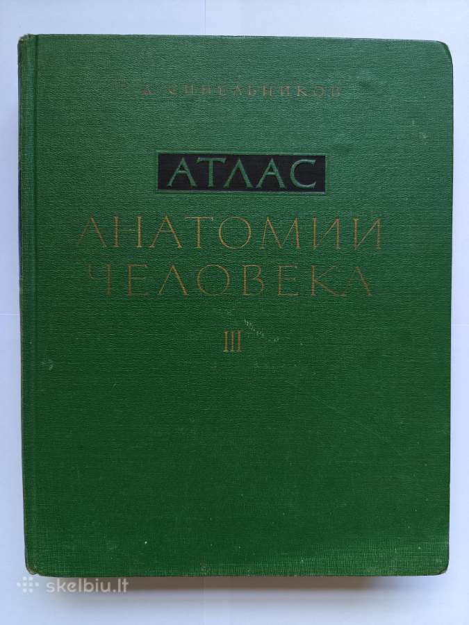 Sinelnikovo žmogaus anatomijos atlasas - nuotraukos Nr. 3