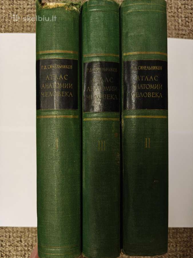 Sinelnikovo žmogaus anatomijos atlasas - nuotraukos Nr. 4