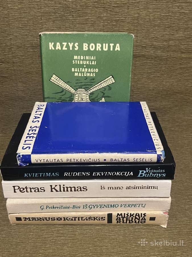 Knygos pagal programa - nuotraukos Nr. 8