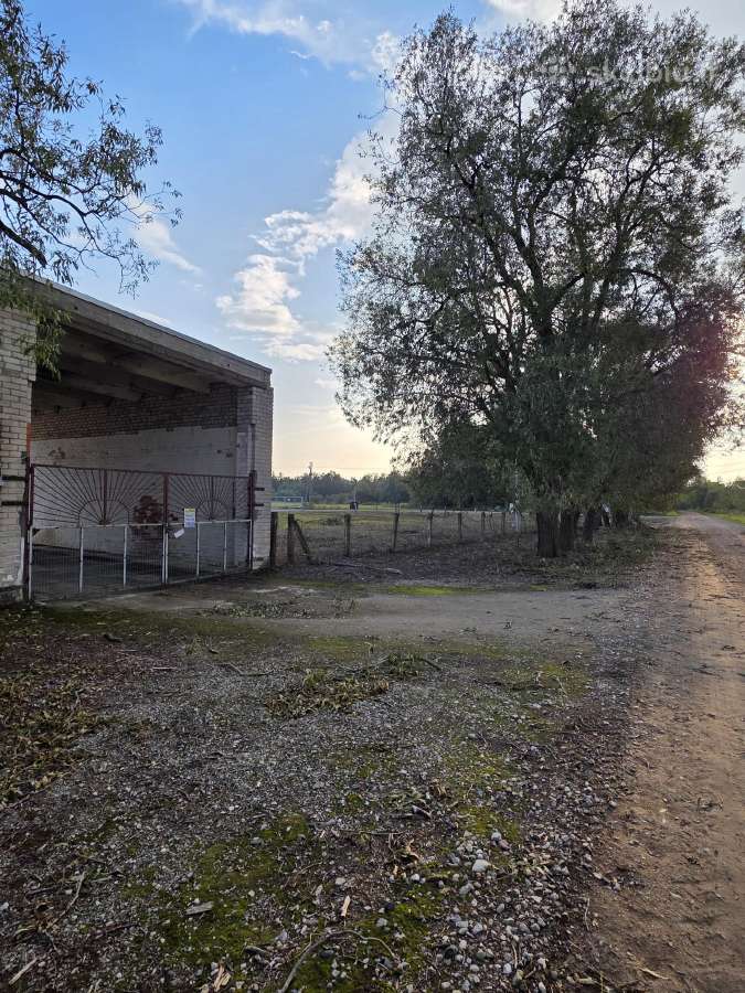 Komercinių patalpų nuoma - nuotraukos Nr. 37
