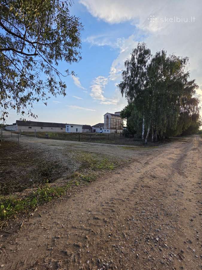 Komercinių patalpų nuoma - nuotraukos Nr. 38
