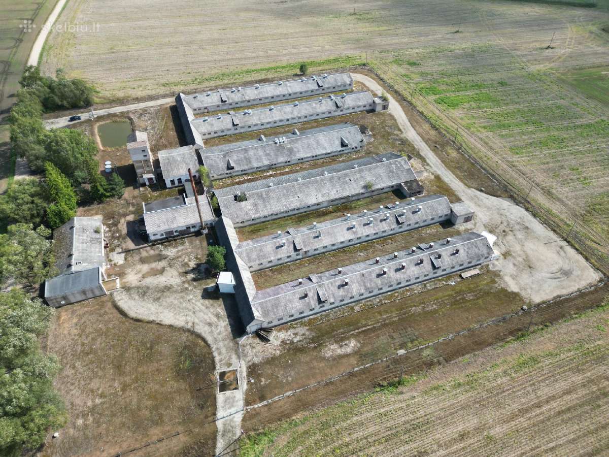 Komercinių patalpų nuoma - nuotraukos Nr. 3