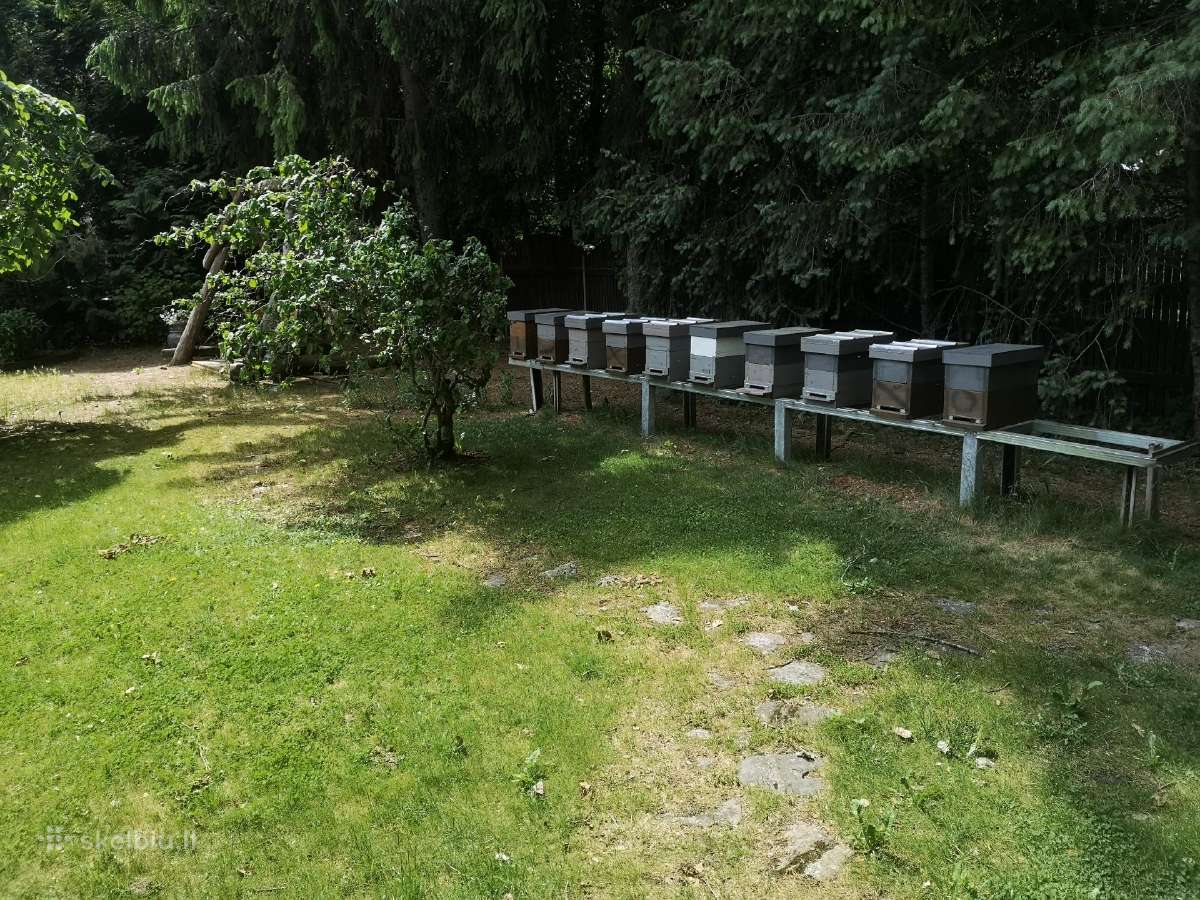 Daugiaaukščiai aviliai - nuotraukos Nr. 4