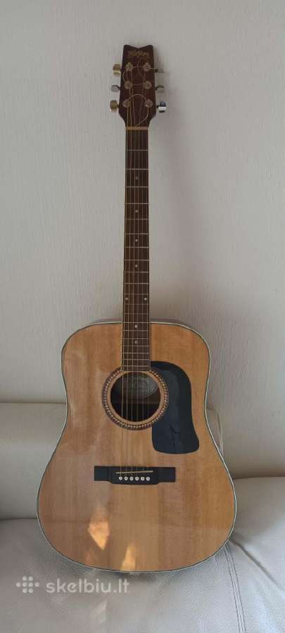 Gitara Washburn D10sk - nuotraukos Nr. 2