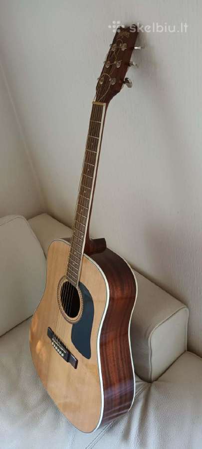 Gitara Washburn D10sk - nuotraukos Nr. 6