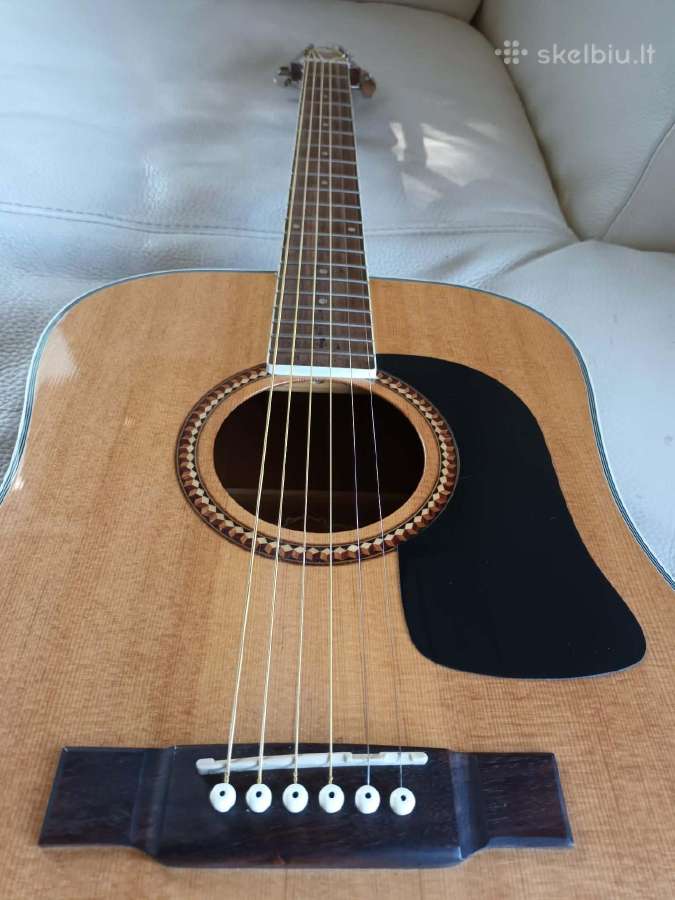 Gitara Washburn D10sk - nuotraukos Nr. 10