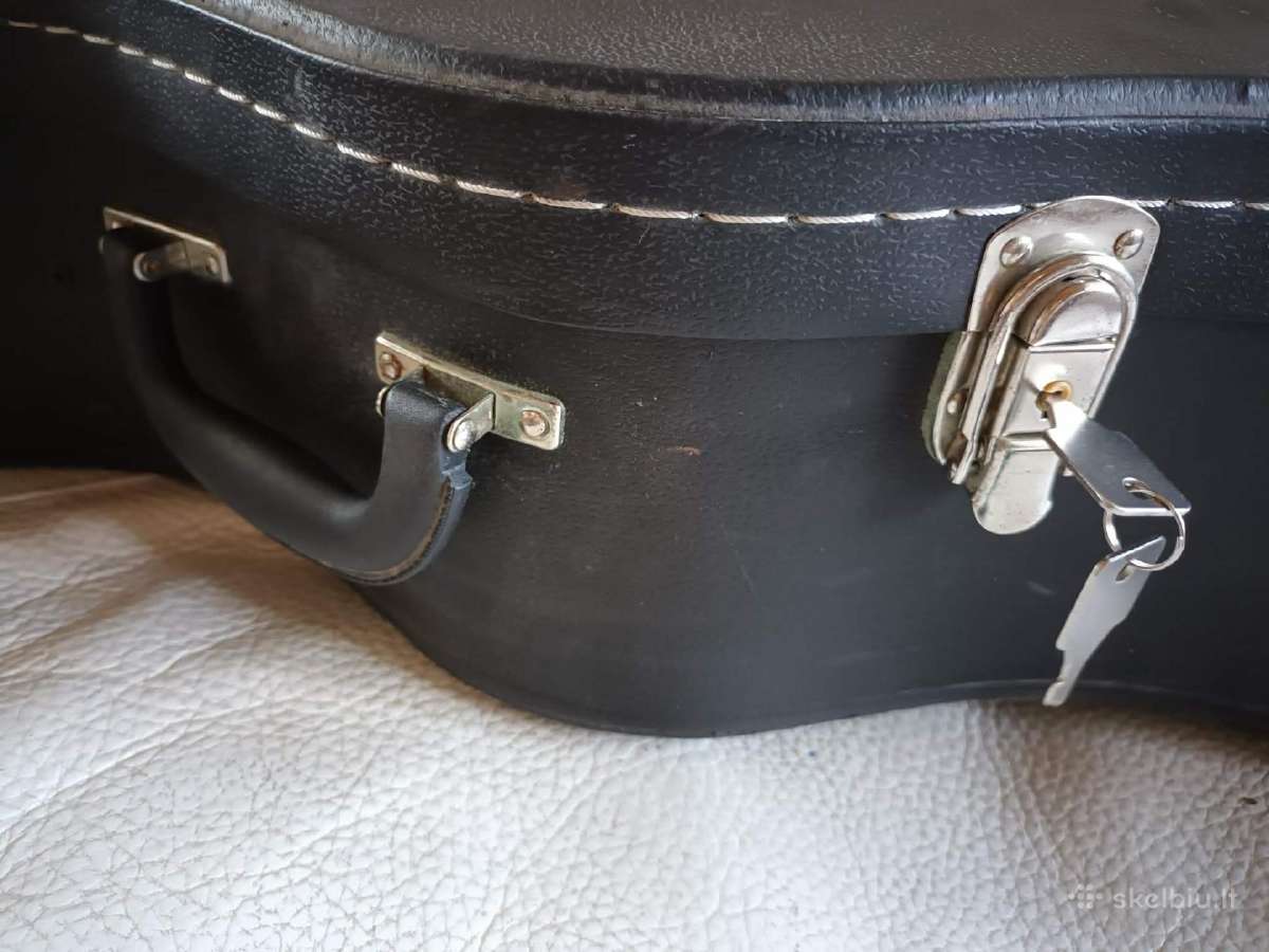 Gitara Washburn D10sk - nuotraukos Nr. 17