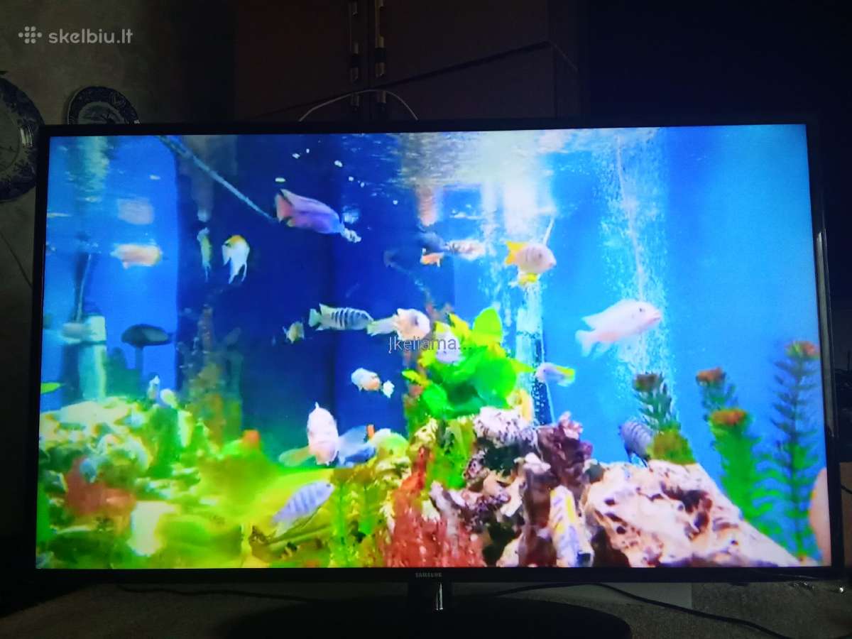 Smart Ue50f 127cm - nuotraukos Nr. 13