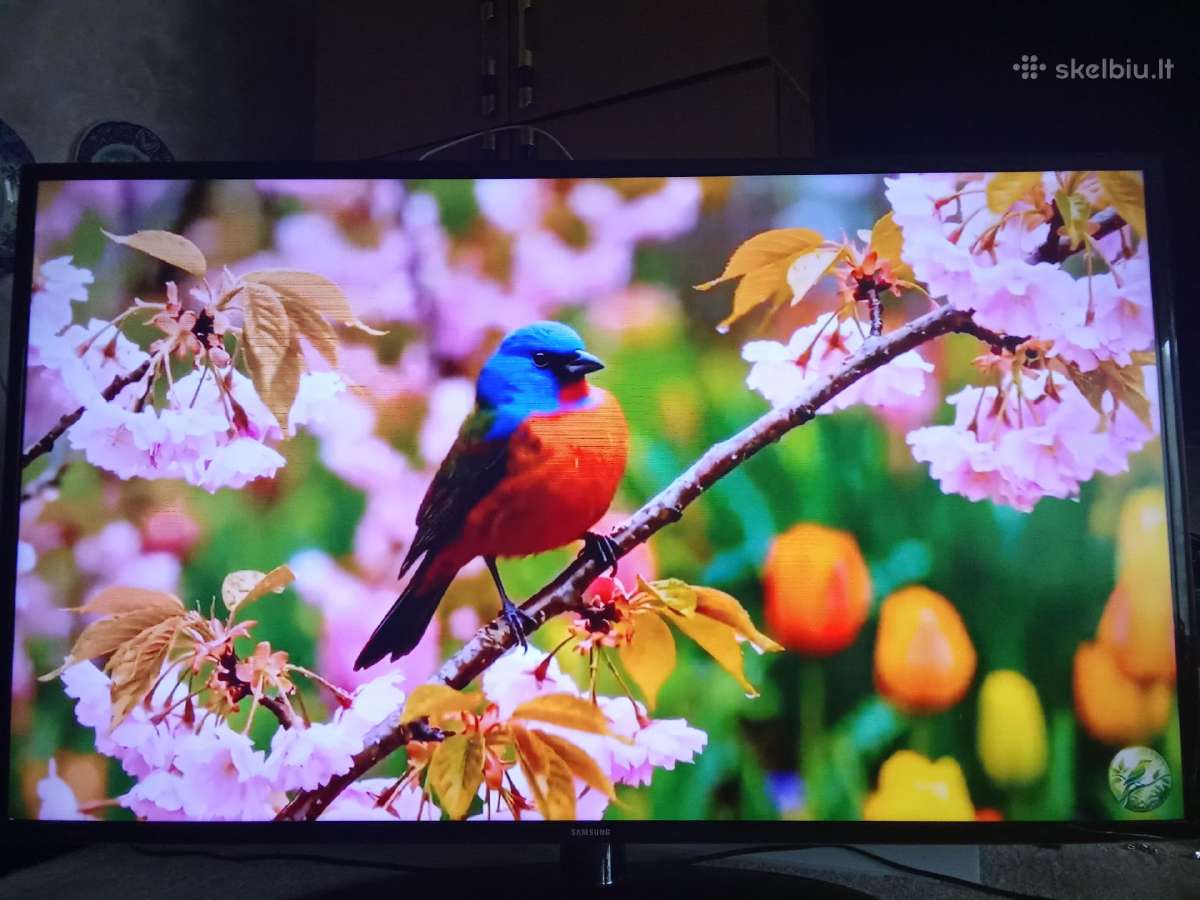 Smart Ue50f 127cm - nuotraukos Nr. 15