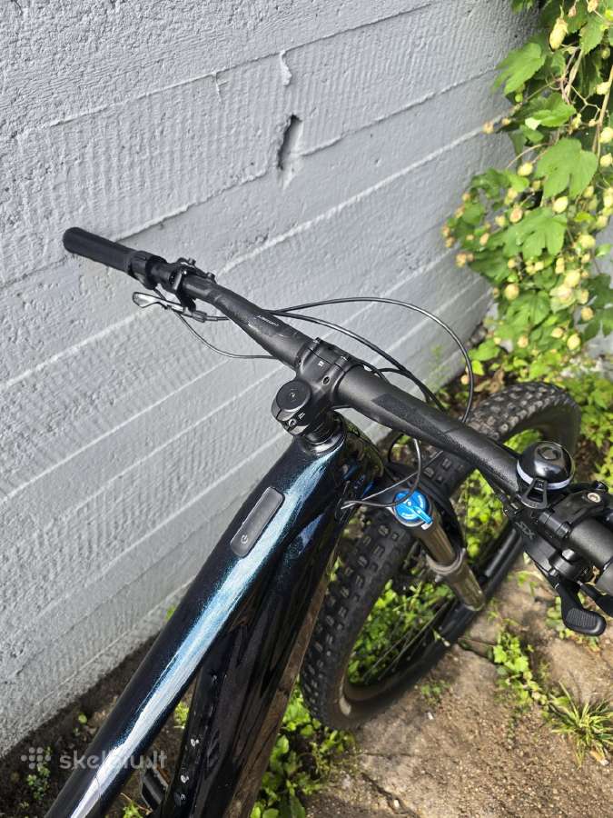 Giant trance x advanced e+ 2 carbon - nuotraukos Nr. 2
