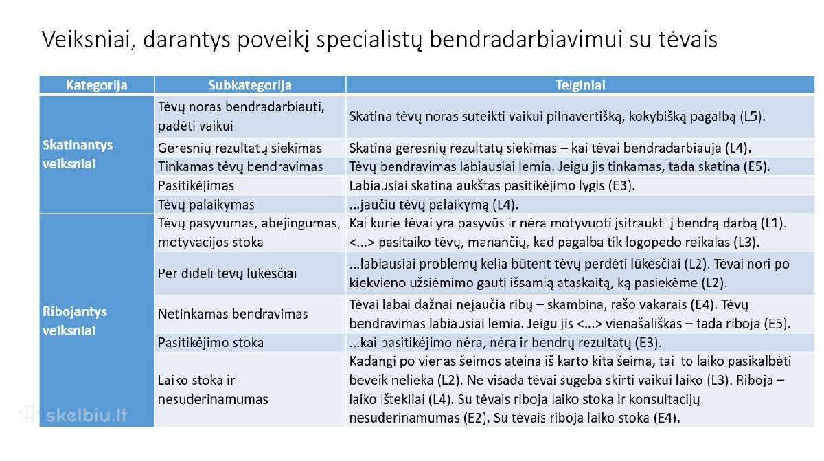 Konsultavimas. Diplominiai, Kursiniai Darbai - nuotraukos Nr. 2