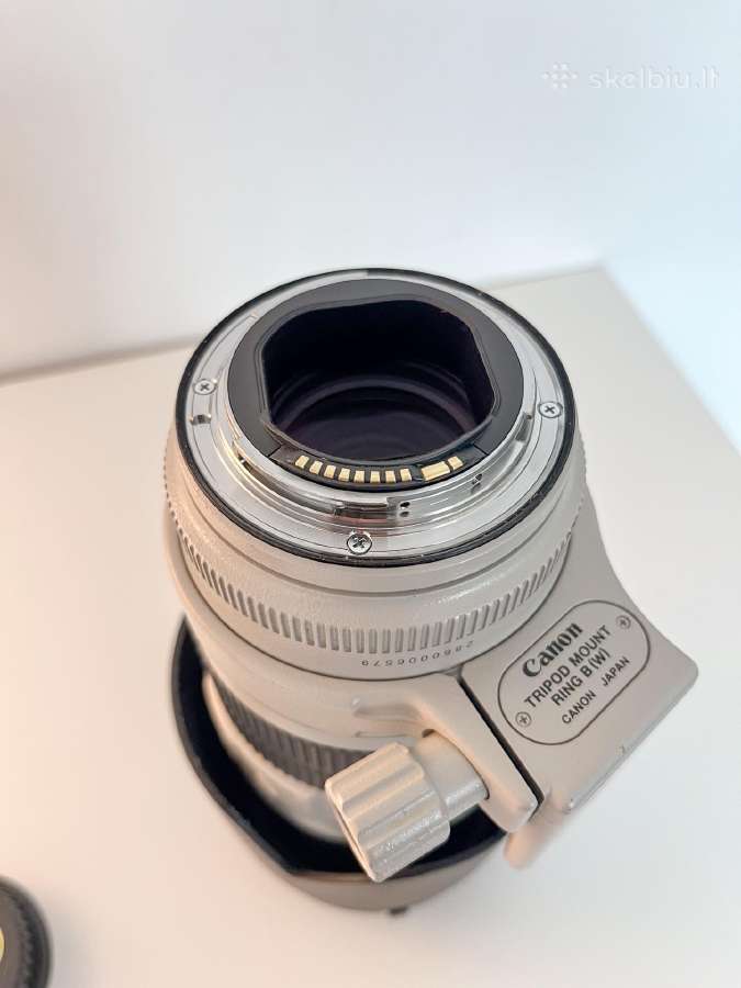 Canon Ef 70-200mm f/2.8l Is II Usm - nuotraukos Nr. 7