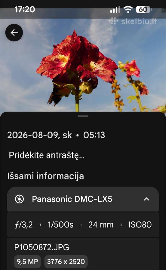 Panasonic Lx5 - nuotraukos Nr. 6