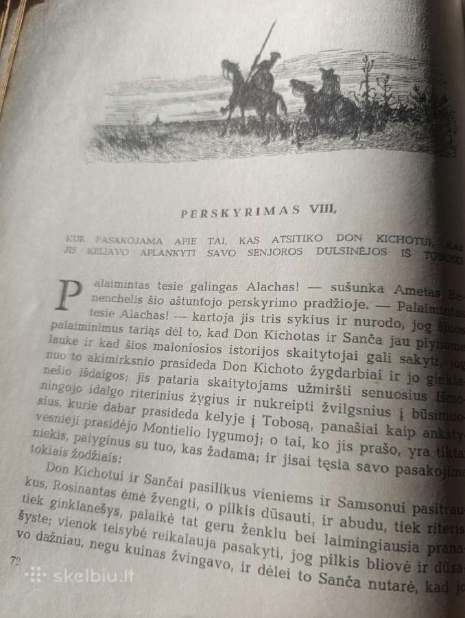 Don Kichotas iš La Mančos - nuotraukos Nr. 10