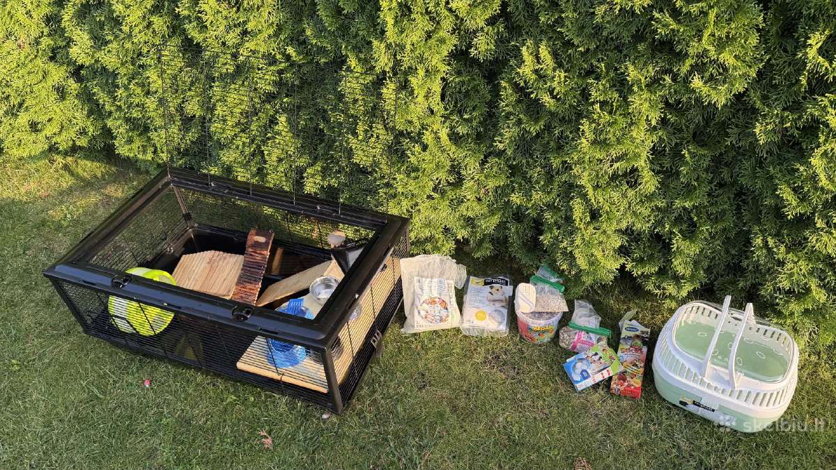 Narvas mažam žiurkėnui - nuotraukos Nr. 10