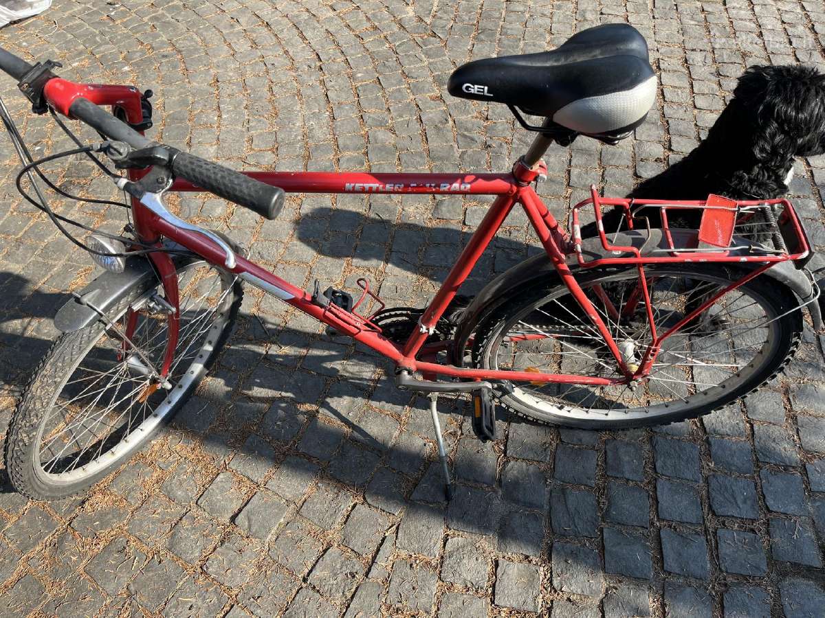 Kettler miesto / turistinis dviratis su bagažine - nuotraukos Nr. 3
