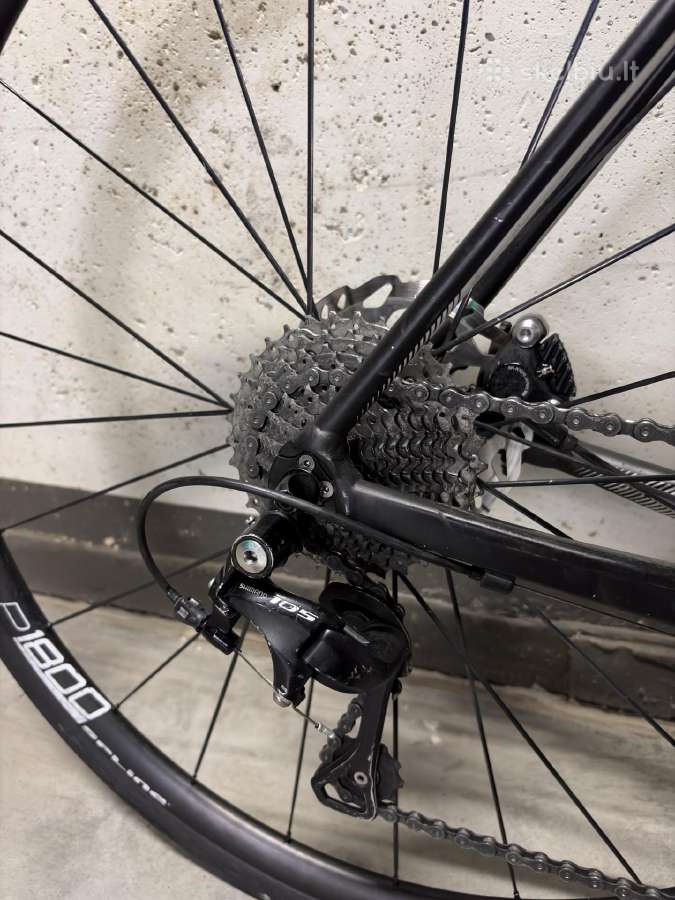 Rose Pro SL Disc 105 - nuotraukos Nr. 5