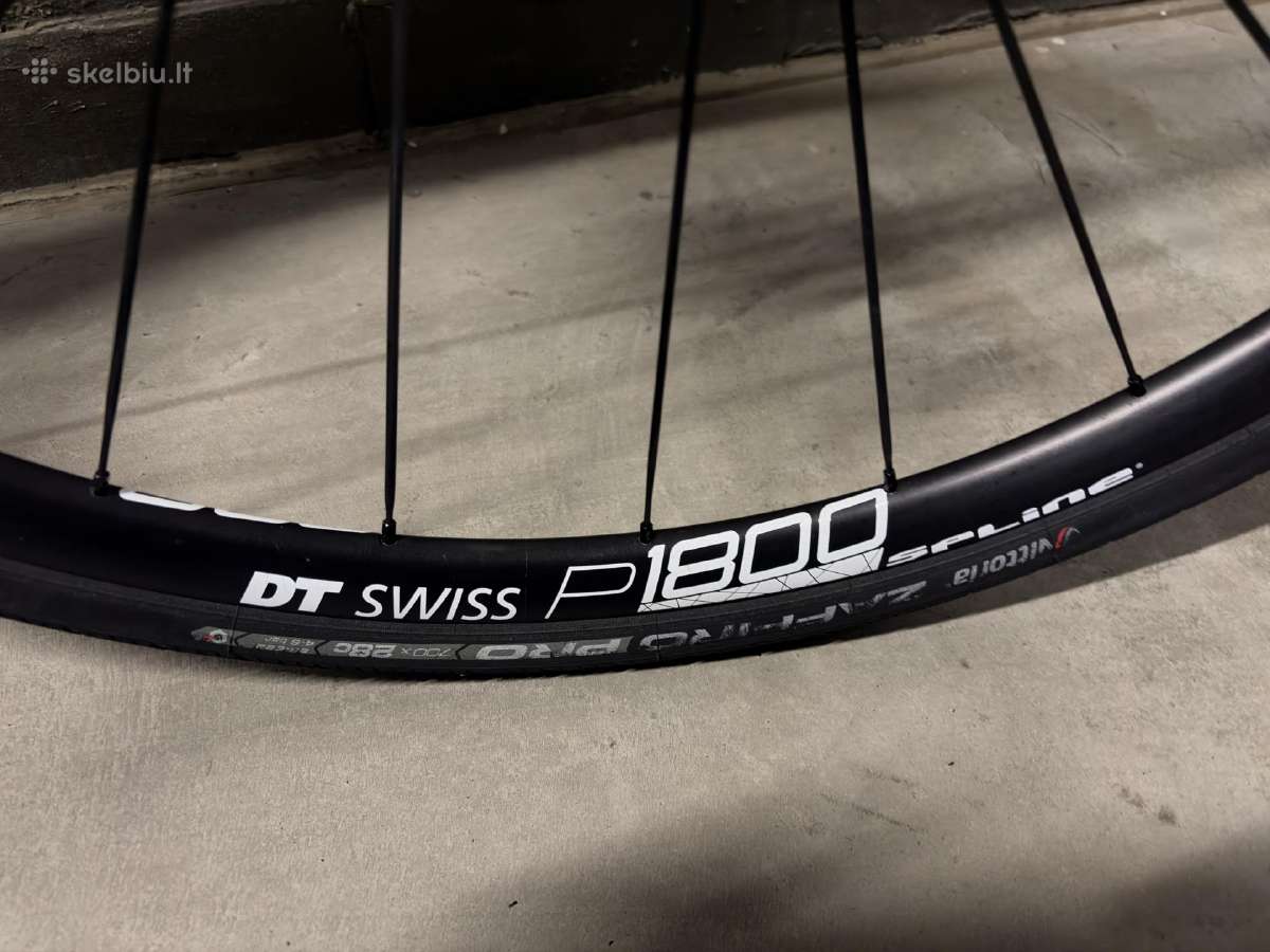 Rose Pro SL Disc 105 - nuotraukos Nr. 8