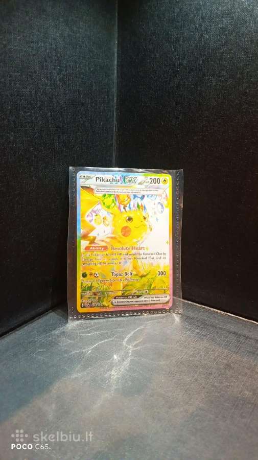 Pokemon kortos - nuotraukos Nr. 3